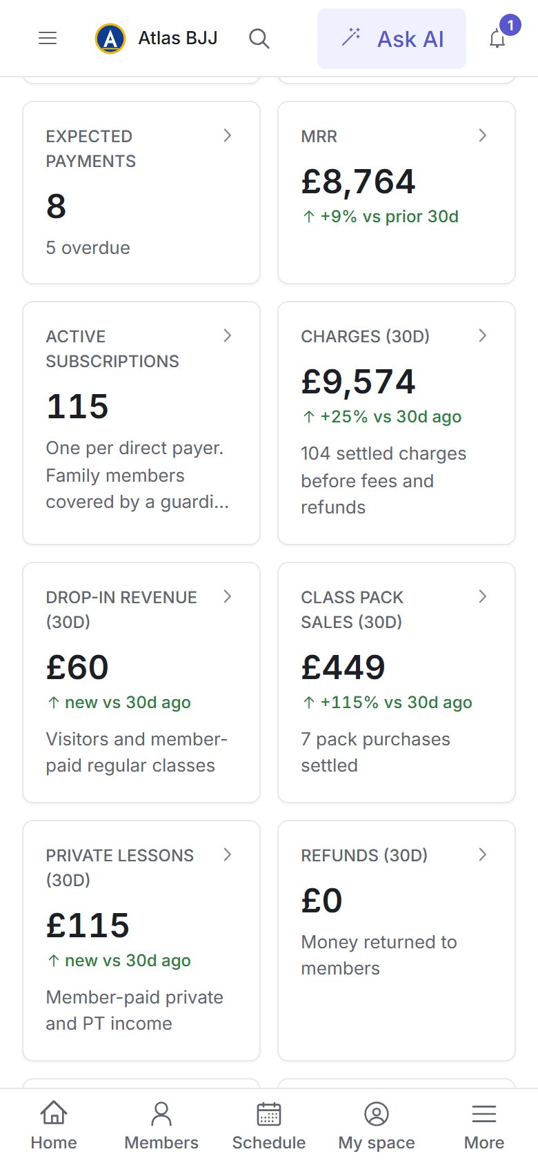 An owner's finance overview on a phone, with bottom navigation tabs
